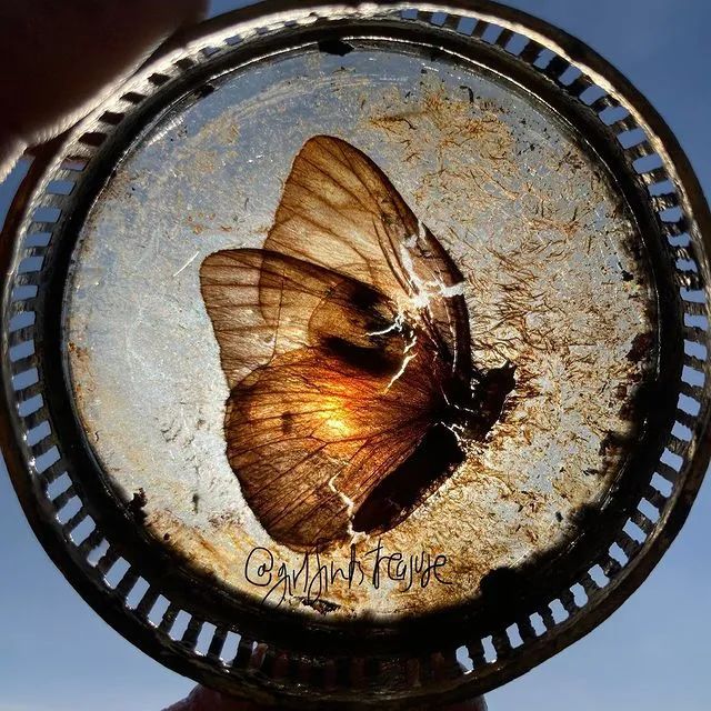 全世界最孤独的男人，凌晨3点出门捡垃圾，却让80万人大呼羡慕：“理想的生活！”