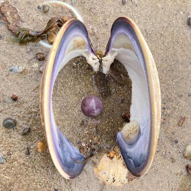 全世界最孤独的男人，凌晨3点出门捡垃圾，却让80万人大呼羡慕：“理想的生活！”