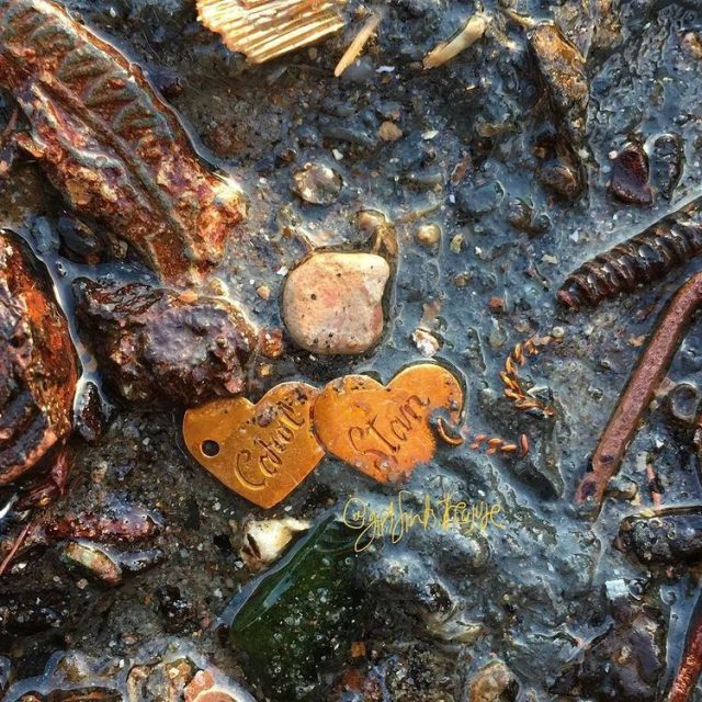 全世界最孤独的男人，凌晨3点出门捡垃圾，却让80万人大呼羡慕：“理想的生活！”