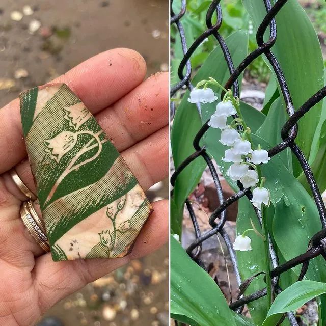 全世界最孤独的男人，凌晨3点出门捡垃圾，却让80万人大呼羡慕：“理想的生活！”