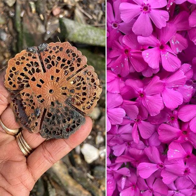 全世界最孤独的男人，凌晨3点出门捡垃圾，却让80万人大呼羡慕：“理想的生活！”