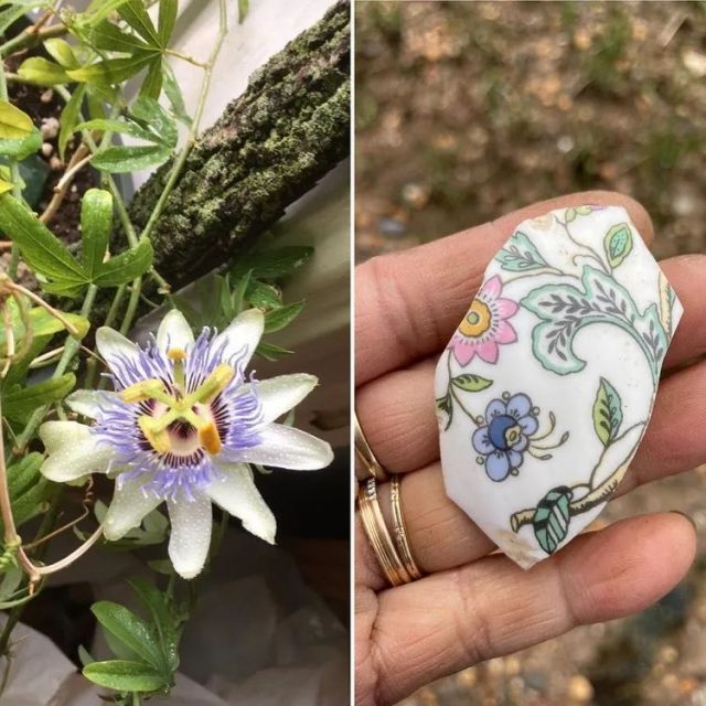 全世界最孤独的男人，凌晨3点出门捡垃圾，却让80万人大呼羡慕：“理想的生活！”