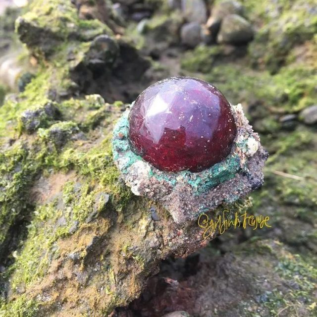 全世界最孤独的男人，凌晨3点出门捡垃圾，却让80万人大呼羡慕：“理想的生活！”