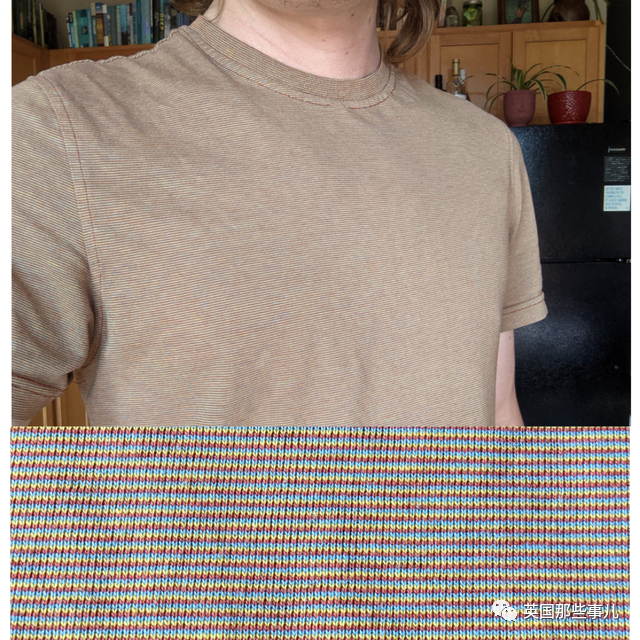 要逃跑的杜鹃花树，彩虹上有人影，日常中的惊喜发现，好有趣