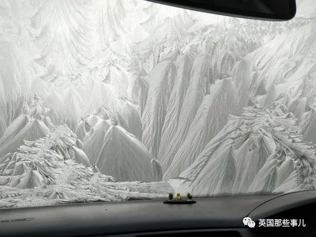 要逃跑的杜鹃花树，彩虹上有人影，日常中的惊喜发现，好有趣