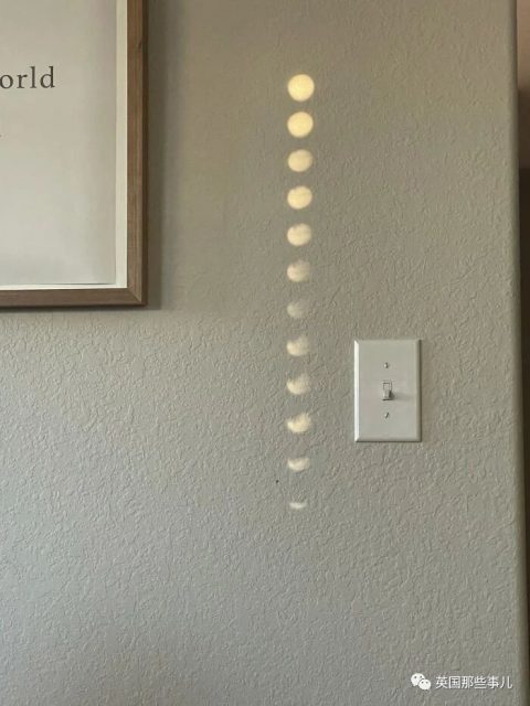 要逃跑的杜鹃花树，彩虹上有人影，日常中的惊喜发现，好有趣