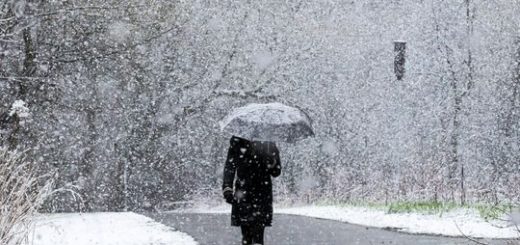 五月飞雪！冬季风暴将袭中西部多地，逾千万人或受影响