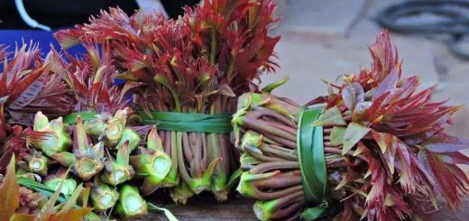 炒前必须焯水的3种蔬菜，再懒也别省这一步！你别还不知道