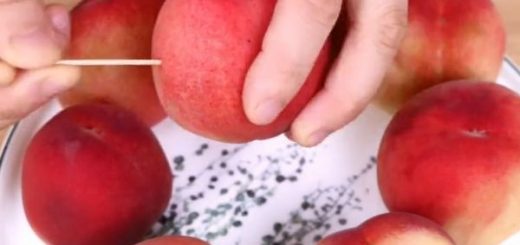 桃子上插一根牙签，好多人不知道有什么用！我回家也试试