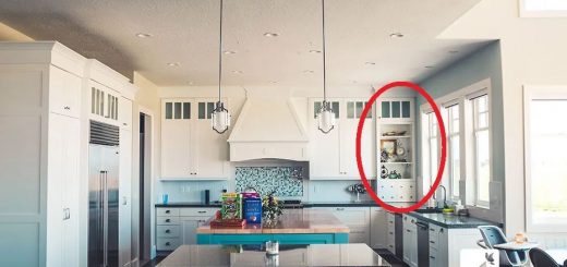 家里的墙一定要掏个洞，可惜知道的人太少！