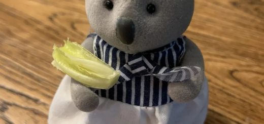 当歪果仁第一次尝试种菜.... 种出来的都什么迷你玩意哈哈哈哈....