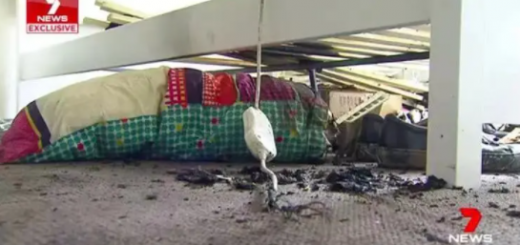 华人小心! 35岁妈妈做饭被炸得鲜血淋漓! 高压锅成定时炸弹!