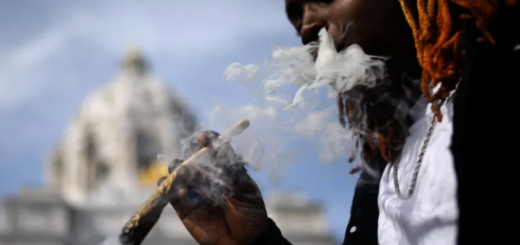 突发!美国宣布大麻合法,吸食大麻不再定罪!