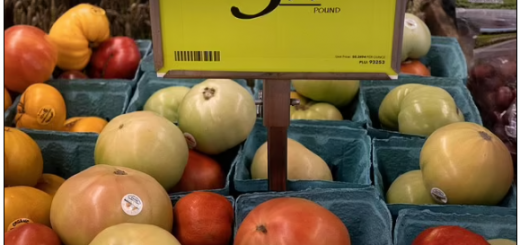 实惨! 美国真实菜价曝光 Costco限购卫生纸! 华人吐槽: 不活了!