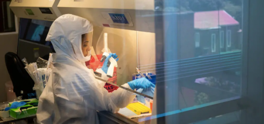 振奋! Omicron发源地疫情突然转好 专家: 它将成终结疫情的"天然疫苗" 2022春是希望!