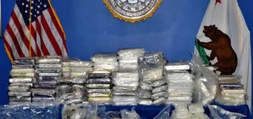 华裔毒枭跨国贩毒被定罪 南加州与加拿大互运毒品 案件庞大涉及多名华人