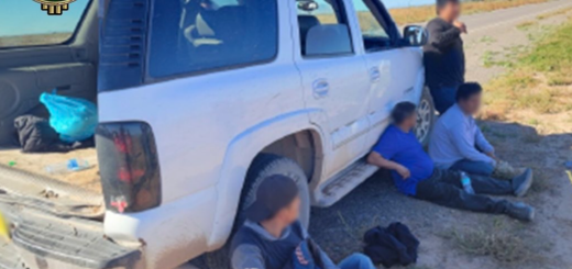 渡一个得$3000！美13岁男孩被“高薪诱惑” 竟私自开车运10个“人蛇” 结果在半路……