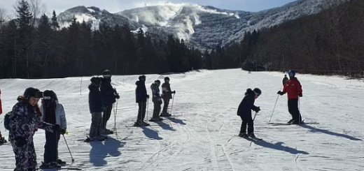 来美旅游护照无端被销毁!酒店职员失职撕碎文件 42名中学生滞留纽约 家长吓坏